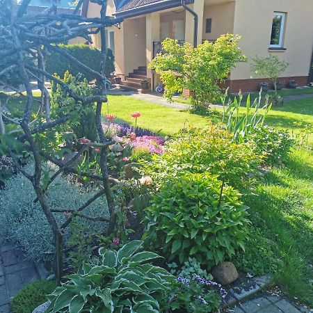 Poilsis Pas Virginija Apartment Palanga Ngoại thất bức ảnh