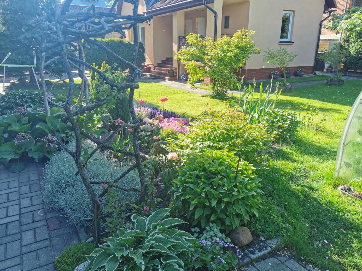 Poilsis Pas Virginija Apartment Palanga Ngoại thất bức ảnh